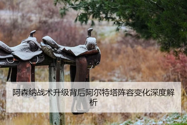 阿森纳战术升级背后阿尔特塔阵容变化深度解析